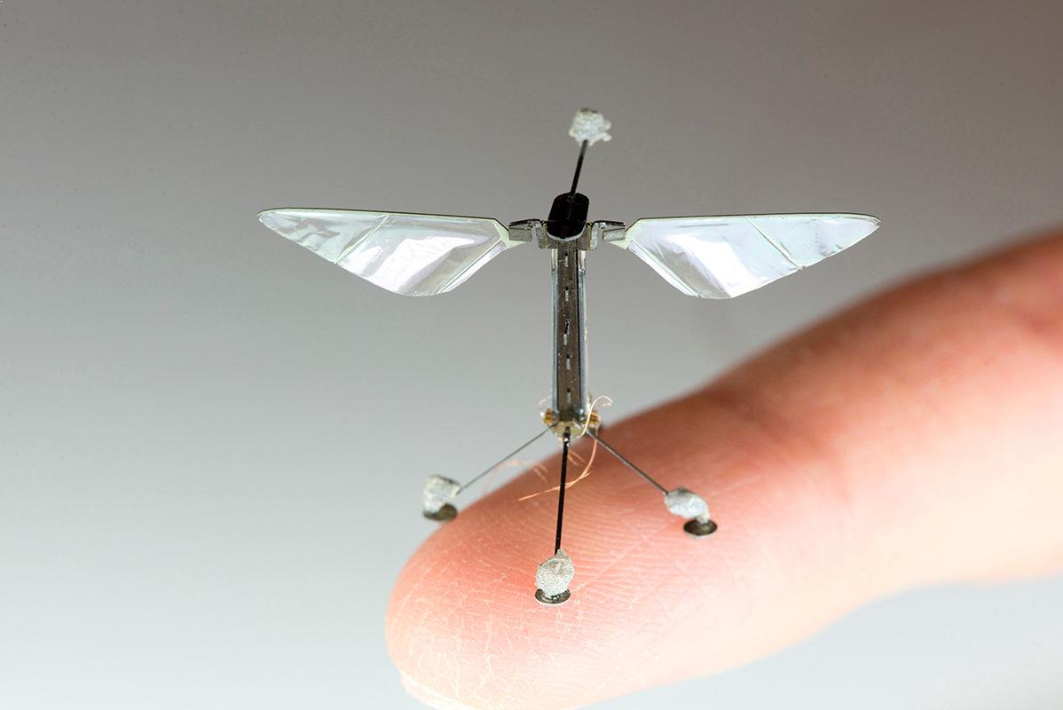flying drone